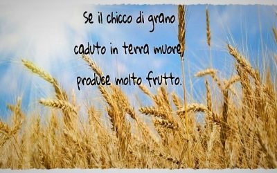 #dalvangelodioggi Gv 12, 24-26 (10 agosto 2021)