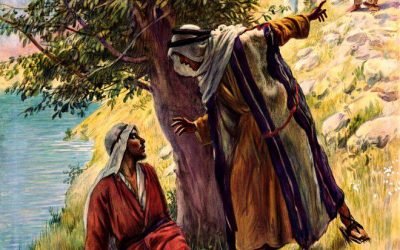 #dalvangelodioggi Gv 1, 45-51 (24 agosto 2021)