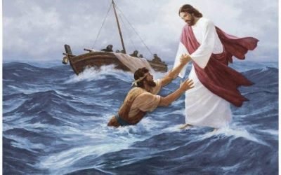 #dalvangelodioggi Mt 14,22-36 (3 agosto 2021)