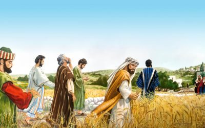 #dalvangelodioggi Lc 6,1-5 (4 settembre 2021)